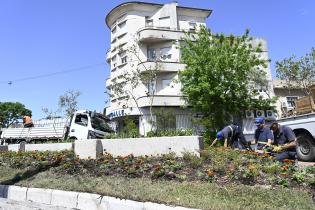 Renaturalización en avenida Bv. España y Obligado Renaturalización en avenida Bv. España y Obligado