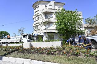 Renaturalización en avenida Bv. España y Obligado 