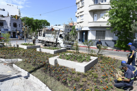 Renaturalización en avenida Bv. España y Obligado 