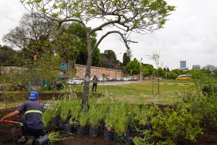 Renaturalización en Av. Gral. Rivera y Bvar.José Batlle y Ordóñez    ,10 de noviembre de 2023