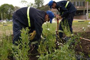 Renaturalización en Av. Gral. Rivera y Bvar.José Batlle y Ordóñez. Renaturalización en Av. Gral. Rivera y Bvar.José Batlle y Ordóñez ,10 de noviembre de 2023