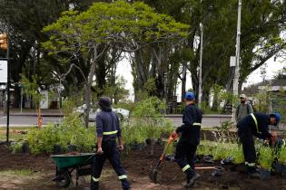 Renaturalización en Av. Gral. Rivera y Bvar.José Batlle y Ordóñez. Renaturalización en Av. Gral. Rivera y Bvar.José Batlle y Ordóñez ,10 de noviembre de 2023