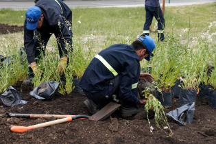 Renaturalización en Av. Gral. Rivera y Bvar.José Batlle y Ordóñez. Renaturalización en Av. Gral. Rivera y Bvar.José Batlle y Ordóñez ,10 de noviembre de 2023
