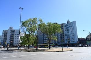 Renaturalización en Av. 8 de Octubre y Luis Alberto de Herrera