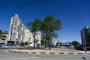 Renaturalización en Av. 8 de Octubre y Luis Alberto de Herrera