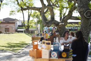 Festivo, festival inclusivo en el Municipio D