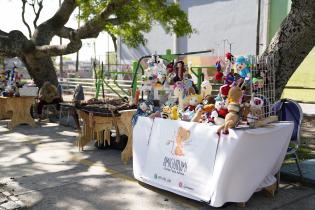 Festivo, festival inclusivo en el Municipio D Festivo, festival inclusivo en el Municipio D