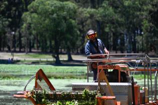 Tareas de limpieza en el lago del parque Rivera   ,22 de noviembre de 2023