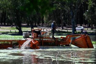 Tareas de limpieza en el lago del parque Rivera. Tareas de limpieza en el lago del parque Rivera ,22 de noviembre de 2023