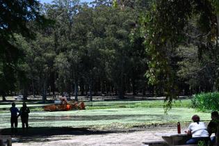 Tareas de limpieza en el lago del parque Rivera   ,22 de noviembre de 2023