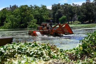 Tareas de limpieza en el lago del parque Rivera   ,22 de noviembre de 2023