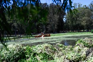 Tareas de limpieza en el lago del parque Rivera. Tareas de limpieza en el lago del parque Rivera ,22 de noviembre de 2023