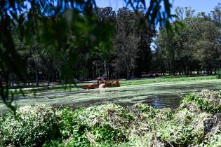 Tareas de limpieza en el lago del parque Rivera   ,22 de noviembre de 2023