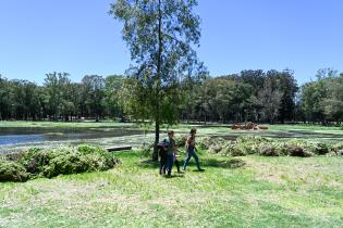 Tareas de limpieza en el lago del parque Rivera   ,22 de noviembre de 2023