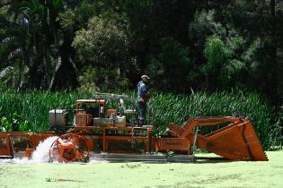 Tareas de limpieza en el lago del parque Rivera   ,22 de noviembre de 2023