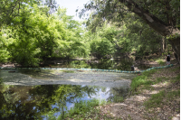 Biobardas en la cuenca del arroyo Pantanoso