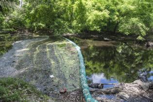 Biobardas en la cuenca del arroyo Pantanoso