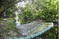 Biobardas en la cuenca del arroyo Pantanoso