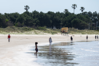 Tareas de limpieza en Playa Verde