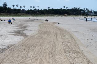 Tareas de limpieza en Playa Verde