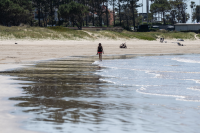 Tareas de limpieza en Playa Verde