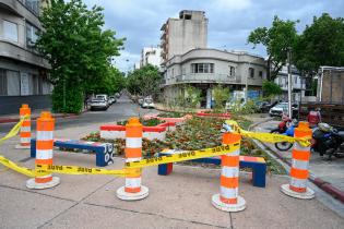 Renaturalización en calle Obligado y Bulevar España