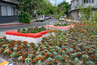 Renaturalización en calle Obligado y Bulevar España