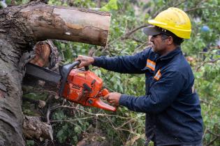 Trabajos de limpieza en Parque Rodó