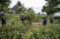 Trabajos de limpieza en Parque Rodó