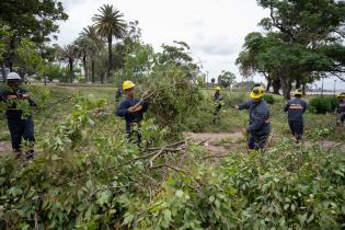 Trabajos de limpieza en Parque Rodó