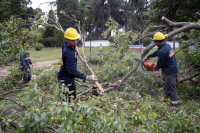 Trabajos de limpieza en Parque Rodó