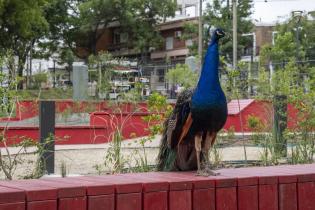 Inauguración del parque Villa Dolores