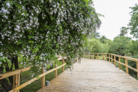 Inauguración del parque Villa Dolores