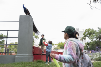 Inauguración del parque Villa Dolores