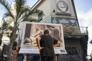 Muestra «El prado en las calles» en la peatonal Sarandí 