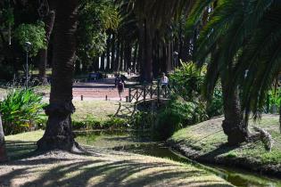 Parqué Rodó, Montevideo 15 de enero de 2024