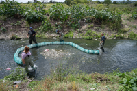 Instalación de biobardas en Arroyo Chacarita de los Padres y Av. Punta de Rieles