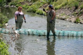 Instalación de biobardas en Arroyo Chacarita de los Padres y Av. Punta de Rieles