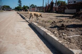 Avance de obras en Avenida Don Pedro De Mendoza entre Matilde Pacheco y Capitán Tula 