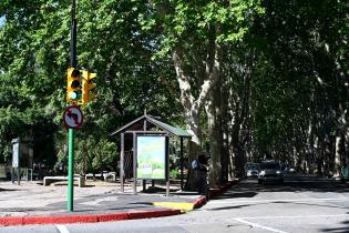 Semáforos en Lucas Obes y Av. 19 de Abril Semáforos en Lucas Obes y Av. 19 de Abril