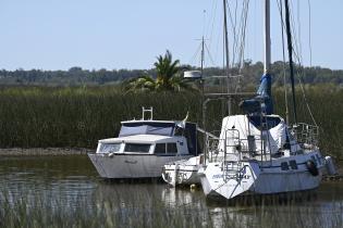  Actividades en los Humedales del Santa Lucía en el Día Mundial de los Humedales