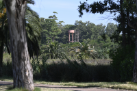  Actividades en los Humedales del Santa Lucía en el Día Mundial de los Humedales