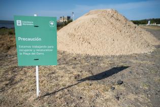 Colocación de duna en Playa del Cerro