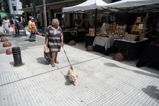 Feria de Economía Social y Solidaria en Peatonal Sarandí Feria de Economía Social y Solidaria en Peatonal Sarandí