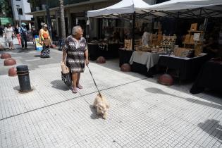 Feria de Economía Social y Solidaria en Peatonal Sarandí