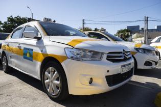 Presentación de 10 taxis eléctricos en la terminal del Cerro