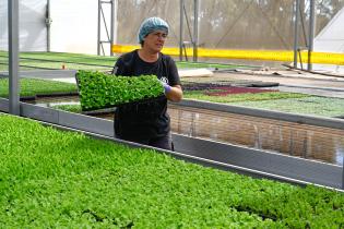 	Visita a instalaciones de Verdeagua, empresa de producción de lechugas hidropónicas