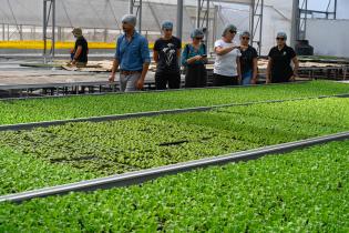 	Visita a instalaciones de Verdeagua, empresa de producción de lechugas hidropónicas