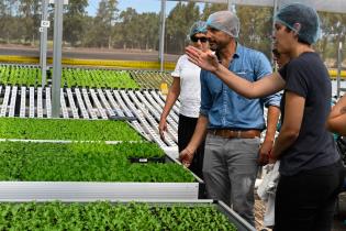 	Visita a instalaciones de Verdeagua, empresa de producción de lechugas hidropónicas