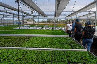 	Visita a instalaciones de Verdeagua, empresa de producción de lechugas hidropónicas